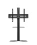WM4672.jpg